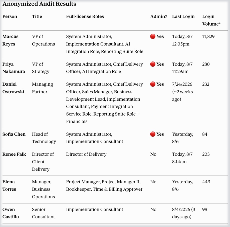 NetSuite user access audit results showing full-license roles and admin access flags
